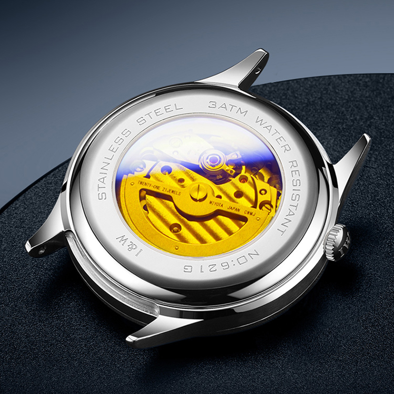 Carnival Brand High-End IW-Ser – Luxury Watch All Brands Bewertung und Preis